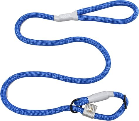 cesar millan dog training leash