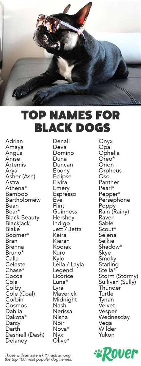 black and tan female dog names