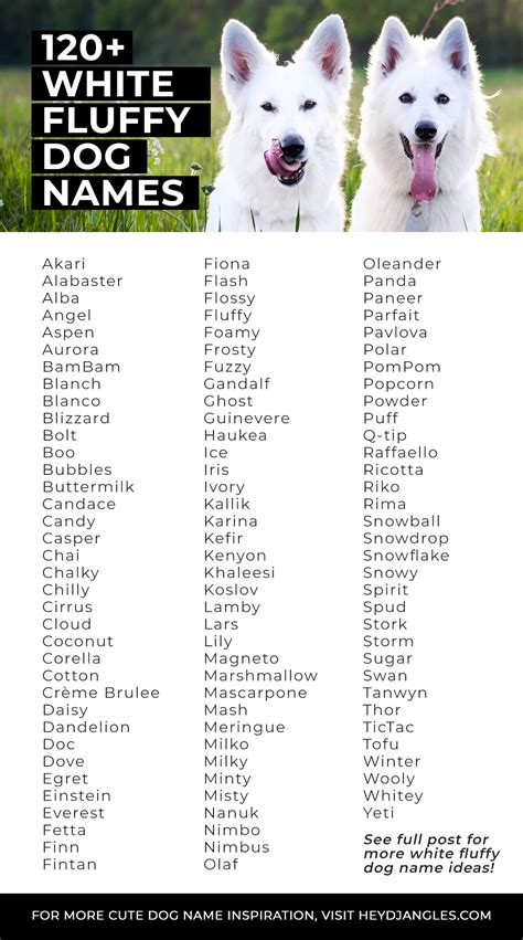 classy white dog names male