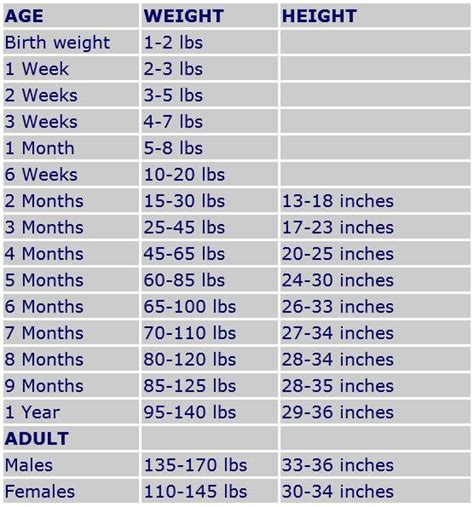 A growth chart showing the average weight of a Daniff from 8 weeks to 24 months