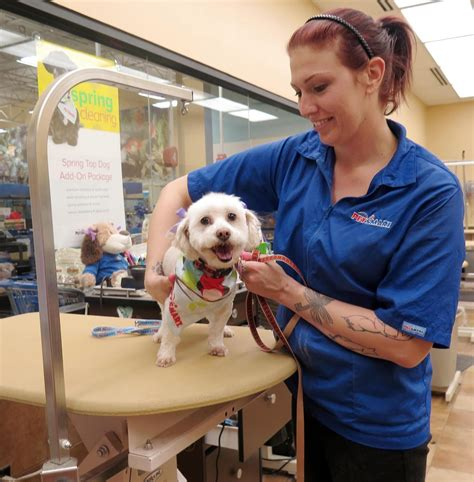 PetSmart Grooming