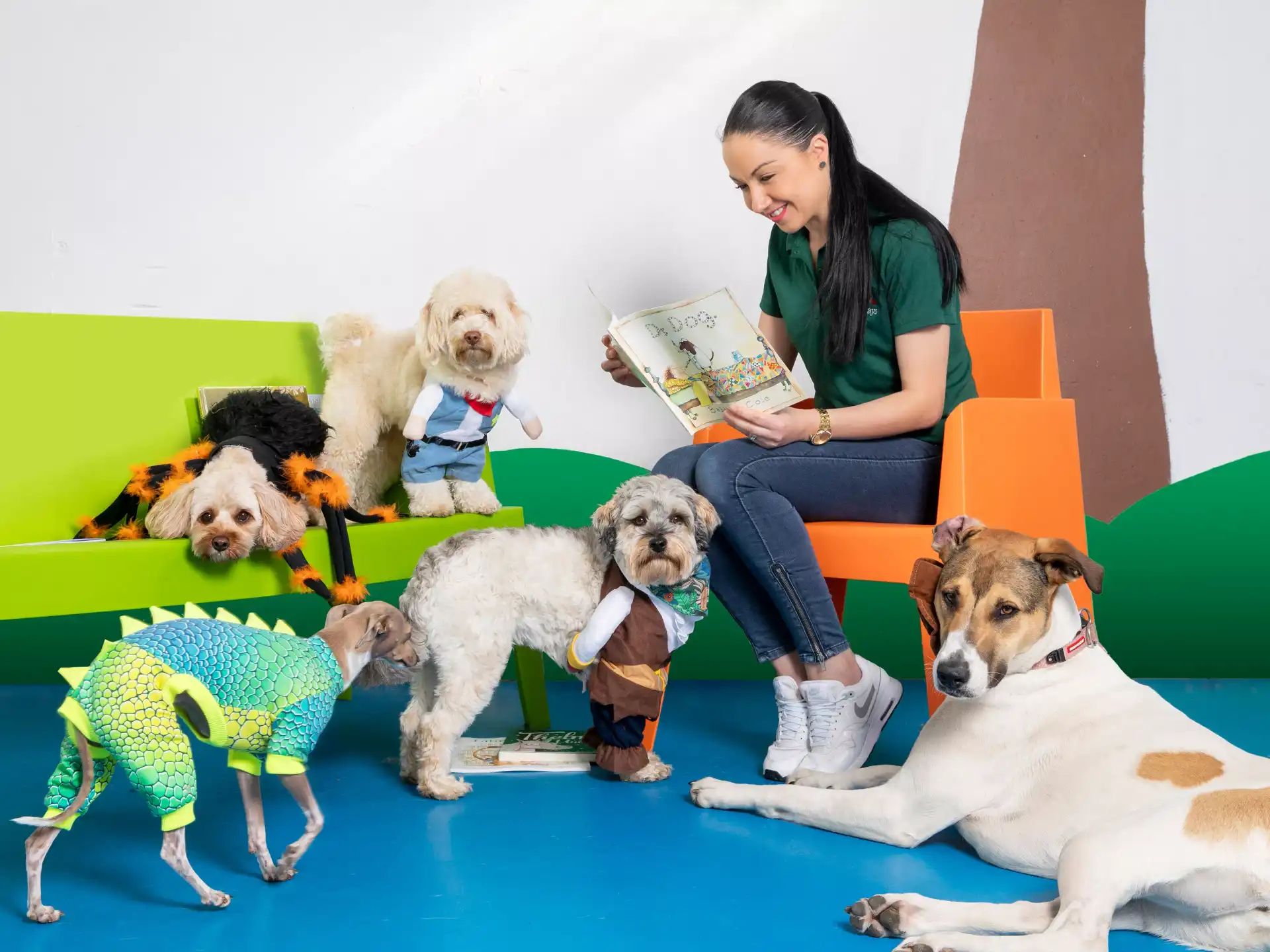 kip doggy daycare brunswick