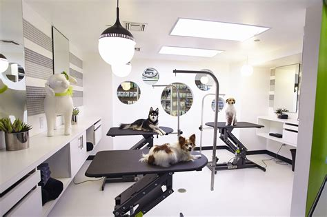 Pet Spa & Retreat