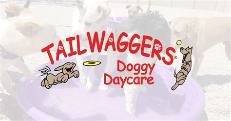 tailwaggers doggy daycare greenville boarding