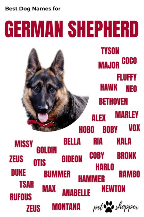 cute dog names for boy german shepherd