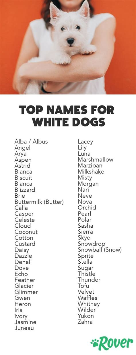 cute names for small white male dogs